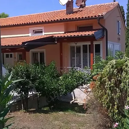 Angelini *